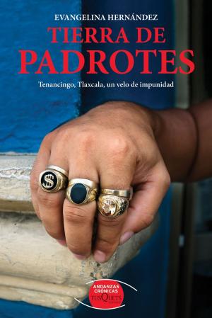 Cover of the book Tierra de padrotes by Pere Ríos
