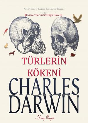 Cover of Darwin ve Türlerin Kökeni