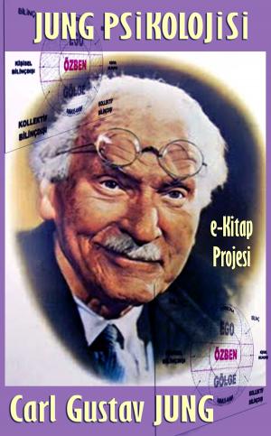 Cover of the book Jung Psikolojisi by James Mckimmey