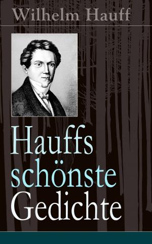 Cover of the book Hauffs schönste Gedichte by Gotthold Ephraim Lessing