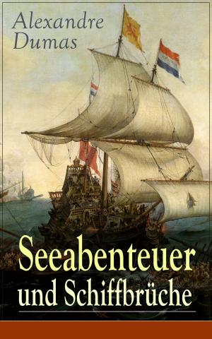 Cover of the book Seeabenteuer und Schiffbrüche by Jules Verne