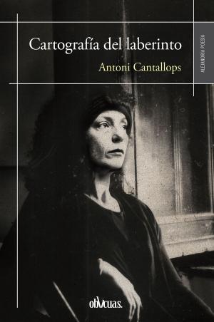 Cover of the book Cartografía del laberinto by Antonio Cano Lax