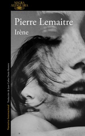 Cover of the book Irène (Un caso del comandante Camille Verhoeven 1) by Jordi Sierra i Fabra