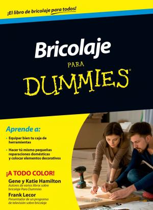 Book cover of Bricolaje para Dummies