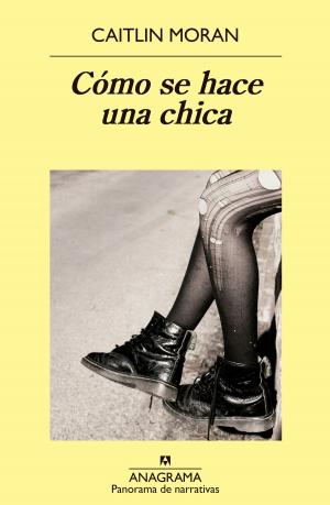 Cover of the book Cómo se hace una chica by Andrés Barba