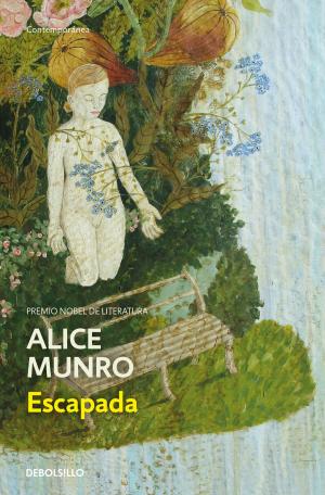 Cover of the book Escapada by Mathias Énard