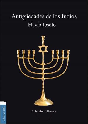 Book cover of Antigüedades de los judíos