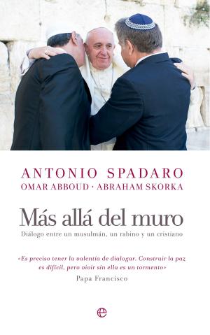 Cover of the book Más allá del muro by Miguel Cuesta, Jonathan Sánchez