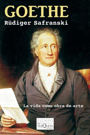 Cover of the book Goethe by David Foenkinos