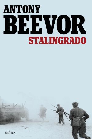 Cover of the book Stalingrado by Gonzalo Álvarez Marañón, David Arroyo García