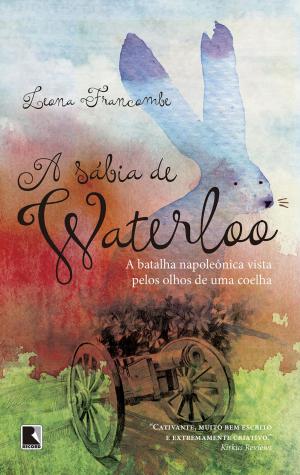 Cover of the book A sábia de Waterloo by Marcia Tiburi