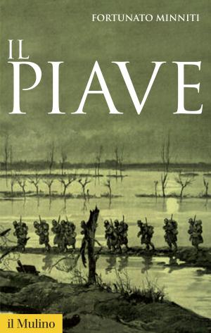 Cover of the book Il Piave by Dario, Tomasello