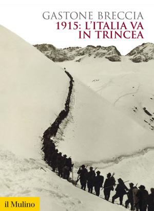 Book cover of 1915: l'Italia va in trincea