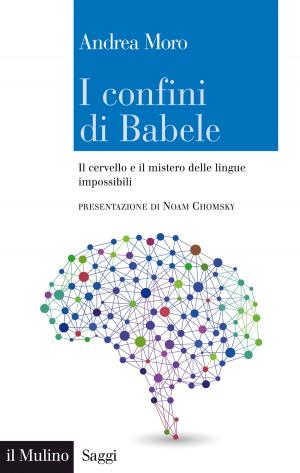 Cover of the book I confini di Babele by 