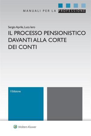 Cover of the book Il processo pensionistico davanti alla Corte dei conti by Michele Monteleone