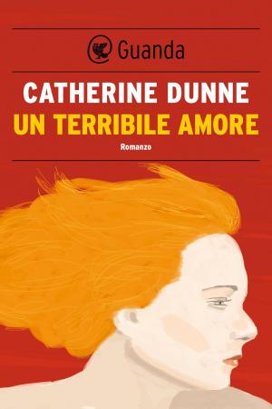 Book cover of Un terribile amore