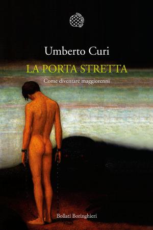Cover of the book La porta stretta by Mircea Eliade
