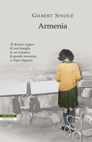 Cover of the book Armenia by John Berger