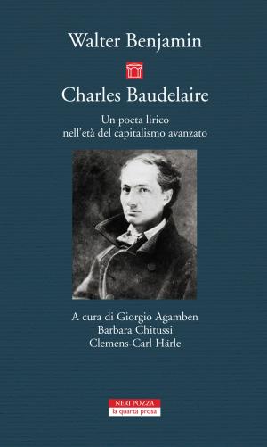 Cover of the book Charles Baudelaire by Peter Stamm