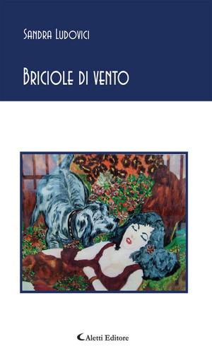 Book cover of Briciole di vento