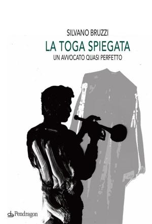 Cover of the book La toga spiegata by Alexander Gruber