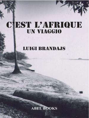 Cover of the book C'est L'Afrique by Prospektiva
