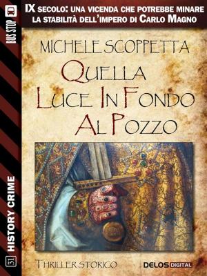 Cover of Quella luce in fondo al pozzo by Michele Scoppetta, Delos Digital