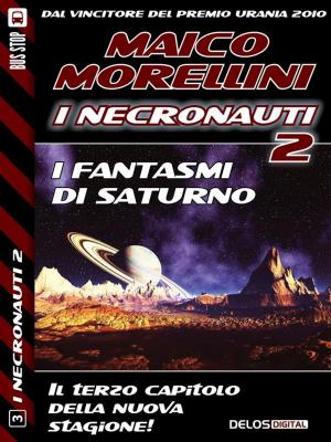 Cover of the book I fantasmi di Saturno by S.L. Dearing