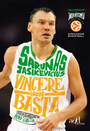 Cover of the book Vincere non basta by Mats Holm