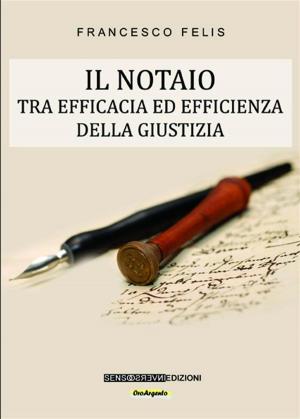 Cover of the book Il notaio by Alessio Blasetti