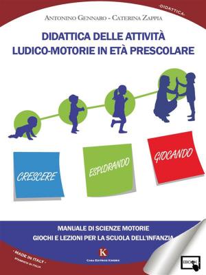Book cover of Didattica delle attività ludico motorie in età prescolare