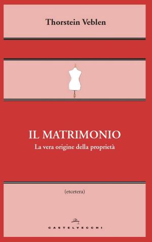 Cover of the book Il matrimonio by Jürgen Habermas