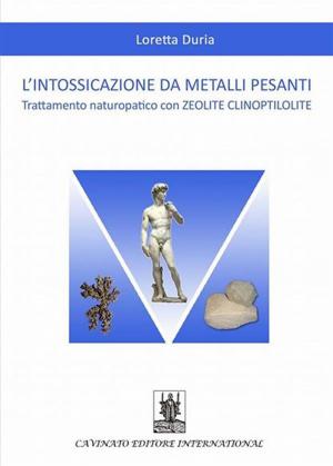 Cover of the book L'intossicazione da metalli pesanti: Trattamento naturopatico con ZEOLITE CLINOPTILOLITE by Federico Bardanzellu