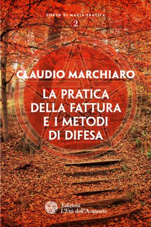 Cover of the book La pratica della fattura e i metodi di difesa by Massimo Bianchi