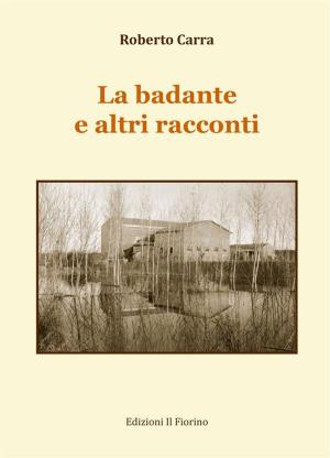 Cover of the book La badante e altri racconti by Piero Malagoli