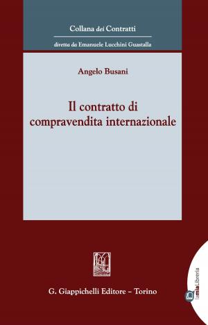 Cover of the book Il contratto di compravendita internazionale by Riccardo Villata, Margherita Ramajoli