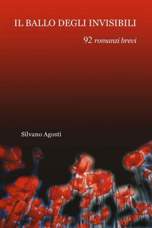 Book cover of Il ballo degli invisibili