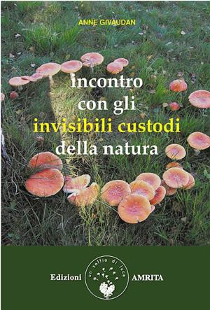 Book cover of Incontro con gli invisibili custodi della natura