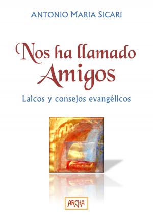 Cover of the book Nos ha llamado amigos by Wendy Anderson