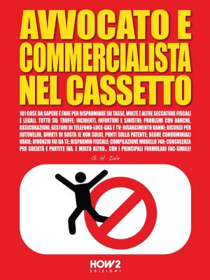 Cover of AVVOCATO E COMMERCIALISTA NEL CASSETTO. 101 Cose da Sapere e Fare per Risparmiare su Tasse, Multe e altre seccature fiscali e legali