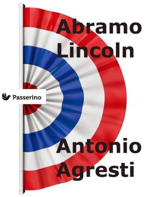 Cover of the book Abramo Lincoln by Stina Leicht