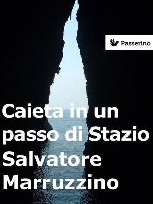 Cover of the book Caieta in un passo di Stazio by Sergio Avallone