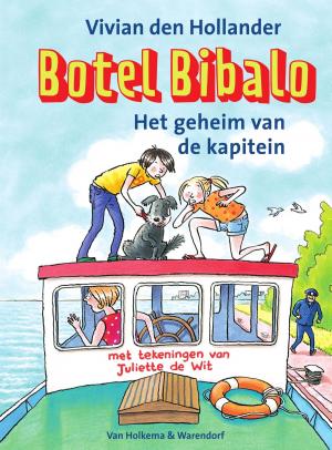 Cover of the book Het geheim van de kapitein by Dolf de Vries