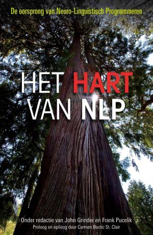 Cover of the book Het hart van NLP by Marius Noorloos