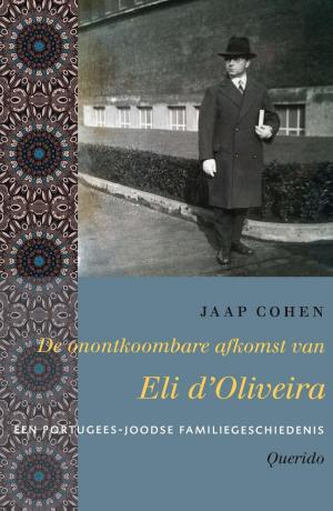 Cover of the book De onontkoombare afkomst van Eli d'Oliveira by Jef Aerts