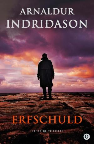 Cover of the book Erfschuld by Christophe Vekeman