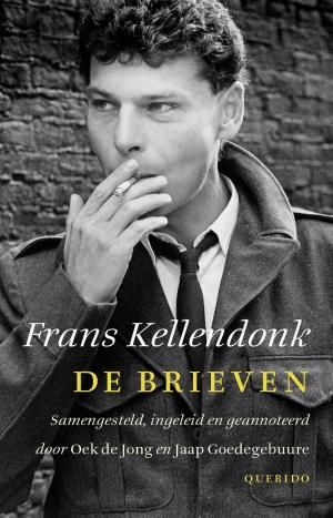 Cover of the book De brieven by Theun de Vries