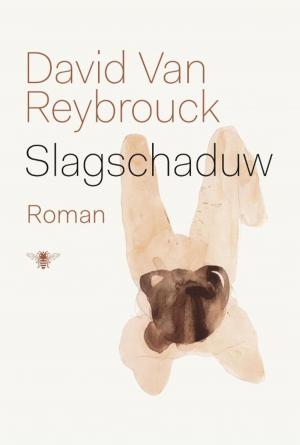Cover of the book Slagschaduw by Wim Hazeu