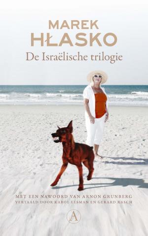 Cover of the book De israëlische trilogie by Robert Anker