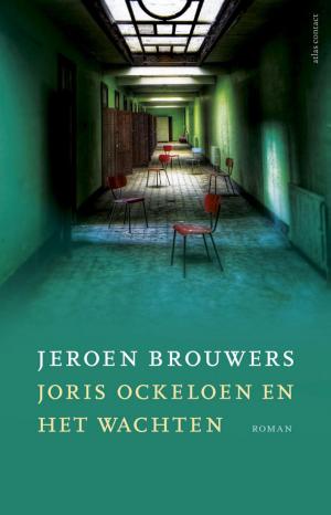 Book cover of Joris Ockeloen en het wachten